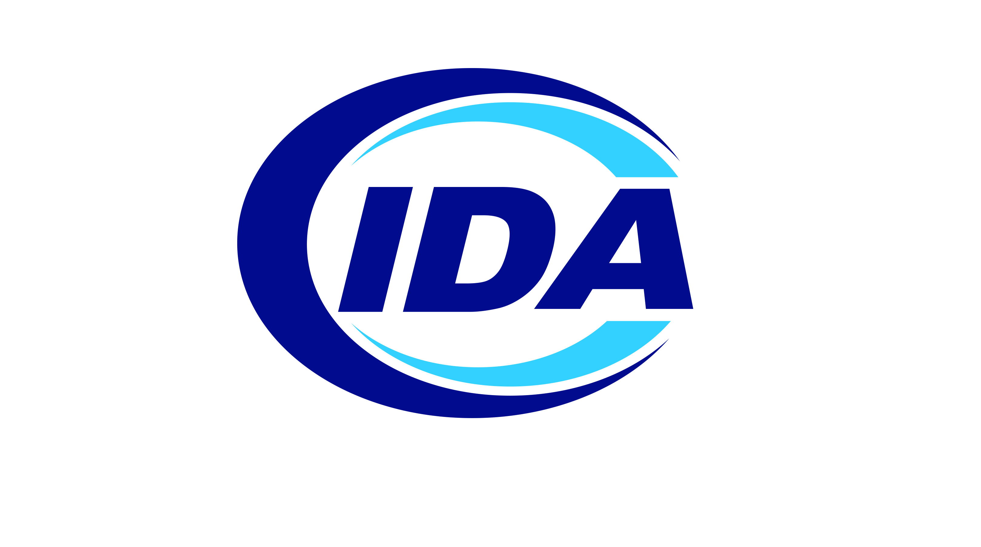 IDA Risk Management